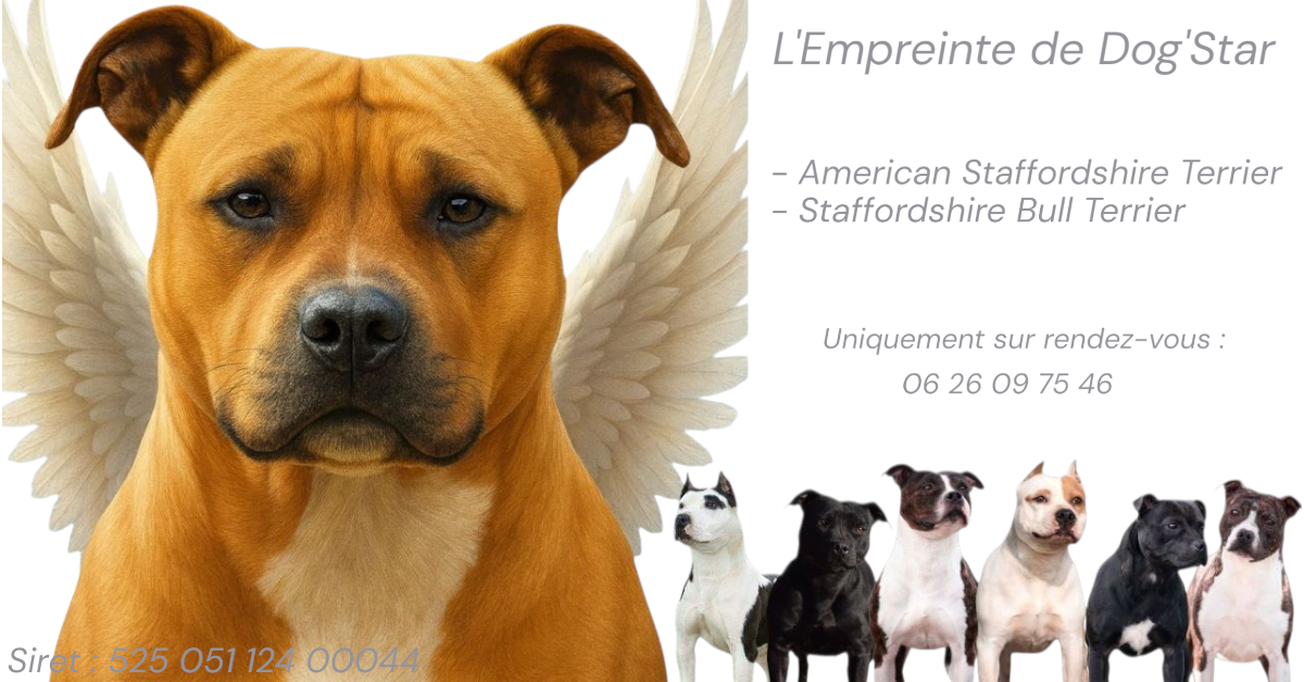 De L'Empreinte De Dog'star